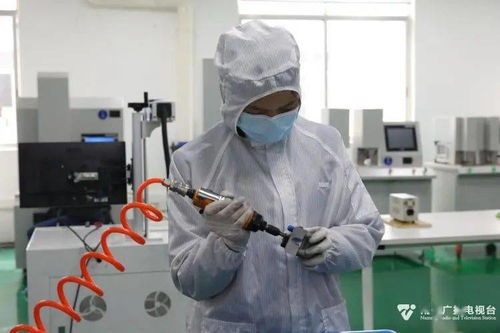 科技種子在南寧開花結果，網絡技術創新激發經濟新活力