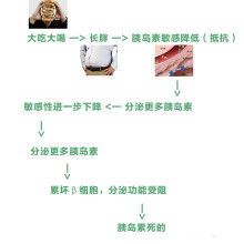 白山市渾江區蜜蜜健康咨詢服務中心 專業引領，守護您的健康之路